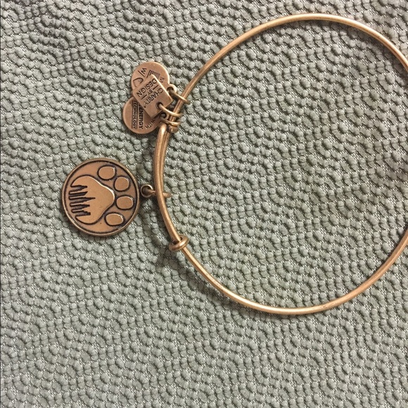 Alex and Ani Jewelry - Alex and Ani bracelet❤